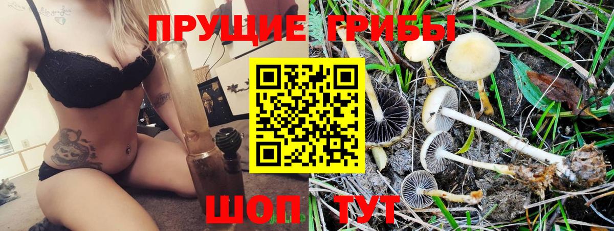 Галлюциногенные грибы Magic Shrooms Тара