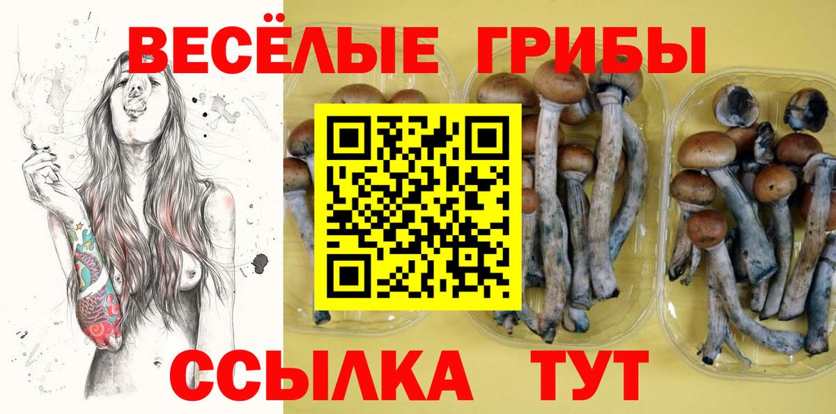 Тара  Галлюциногенные грибы мухоморы  Вход с VPN  Галлюциногенные грибы Psilocybe 